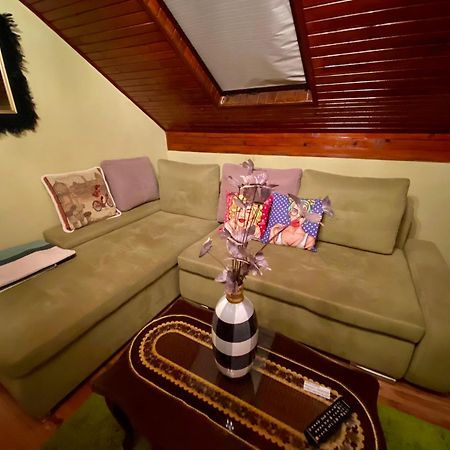 Villa Miris Dunja Zlatibor Kültér fotó