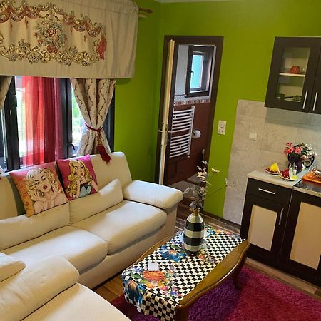 Villa Miris Dunja Zlatibor Kültér fotó