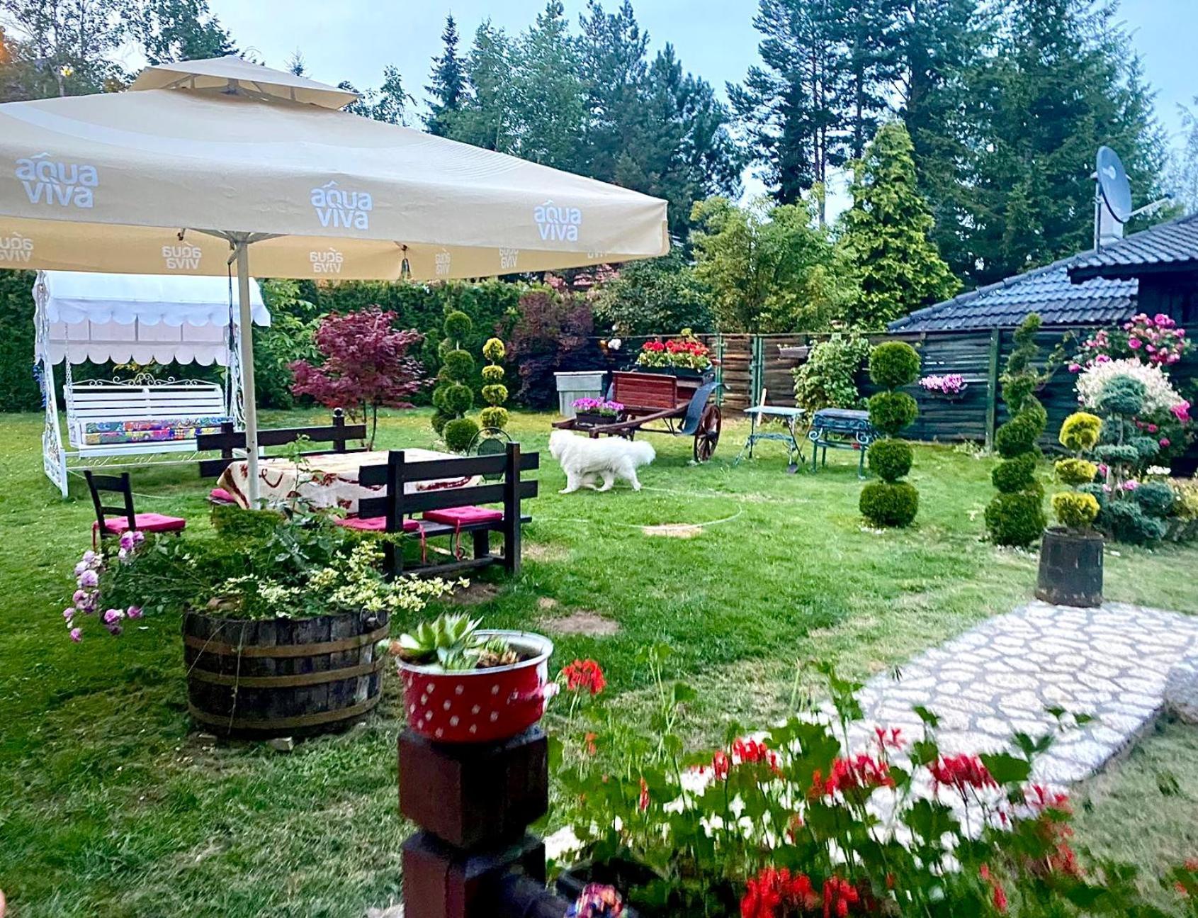 Villa Miris Dunja Zlatibor Kültér fotó