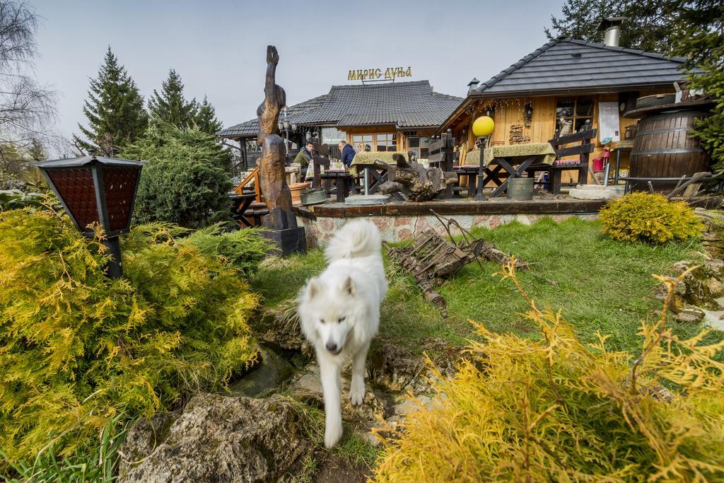 Villa Miris Dunja Zlatibor Kültér fotó