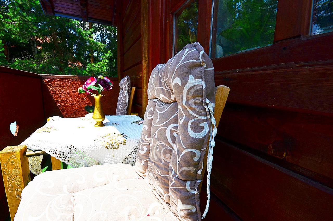 Villa Miris Dunja Zlatibor Kültér fotó