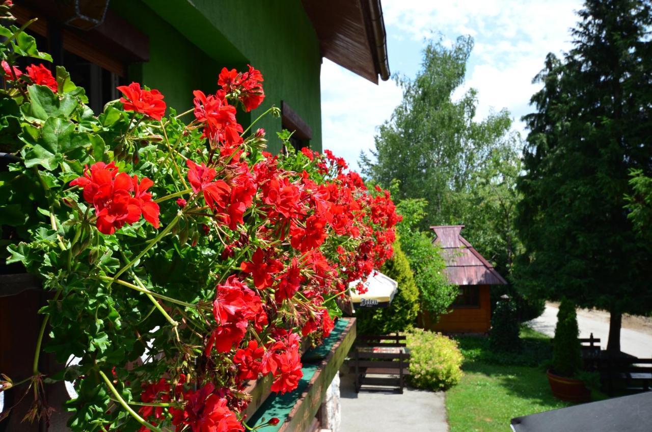 Villa Miris Dunja Zlatibor Kültér fotó