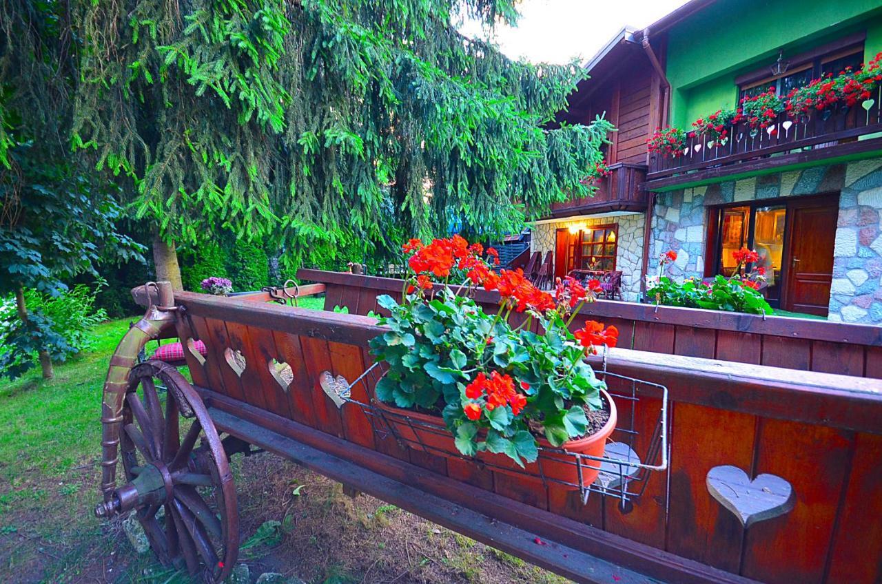 Villa Miris Dunja Zlatibor Kültér fotó